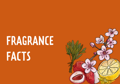 Fun Facts about how fragrances trigger memories