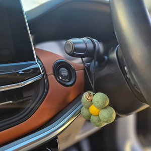 Australian Bush Felt Flower Air Freshener hanging in car